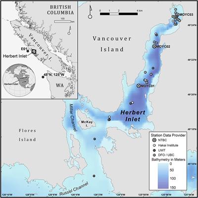 Seasonal near-surface hypoxia in a temperate fjord in Clayoquot Sound, British Columbia